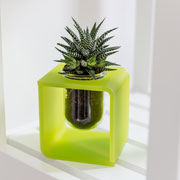 To Be - Vaso decorativo portafiori. Design: Giorgio caporaso per Lessmore